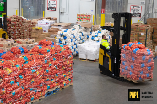 Cold Storage Forklifts: How to Reduce Downtime During Harvest